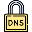 dns